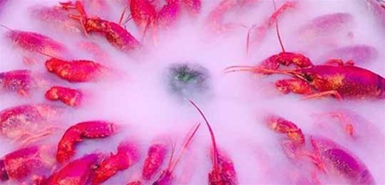 如何選擇山西高純氣體管道配管及附件材料？